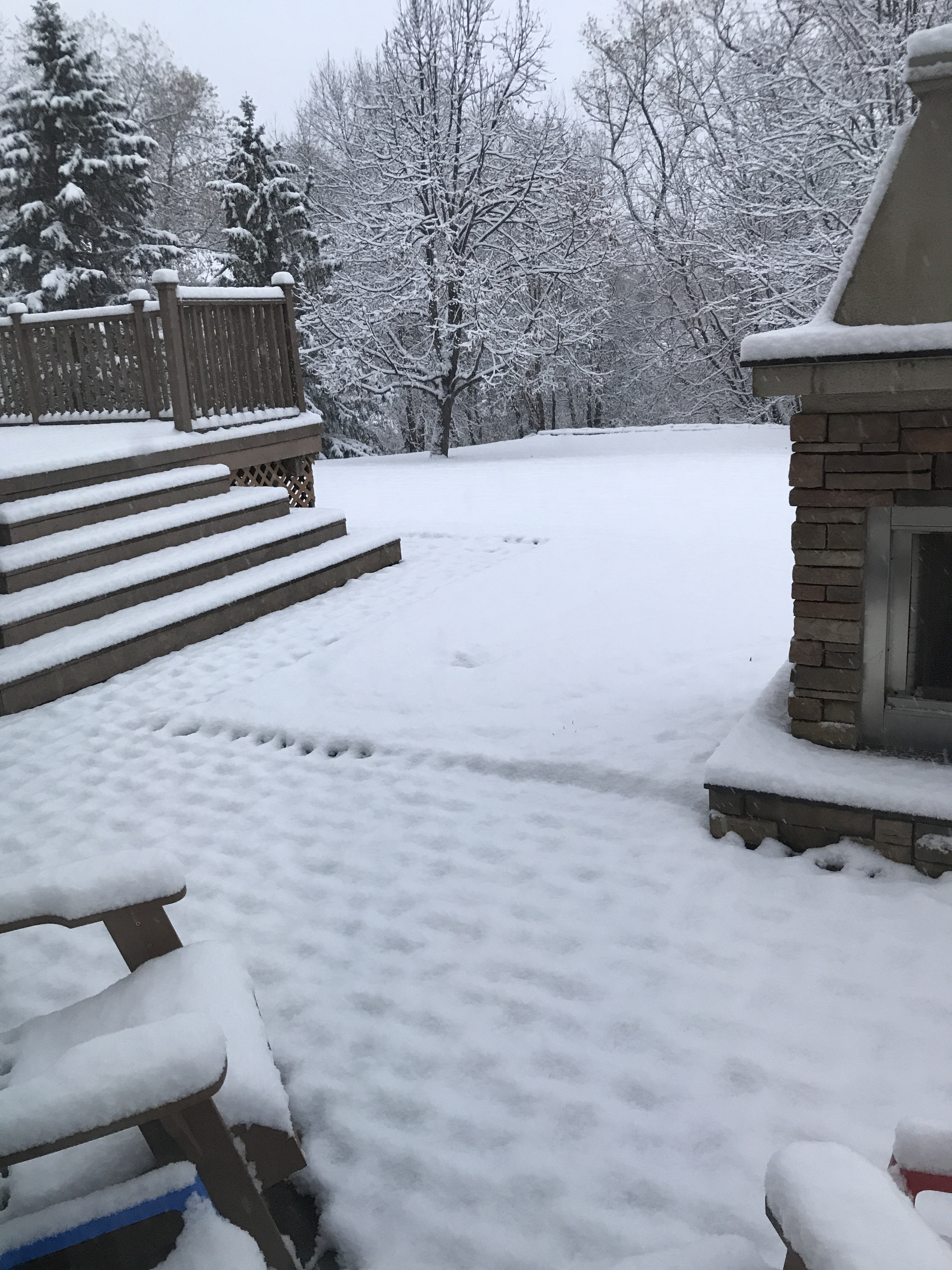Macklemore & first snow ❄️ 