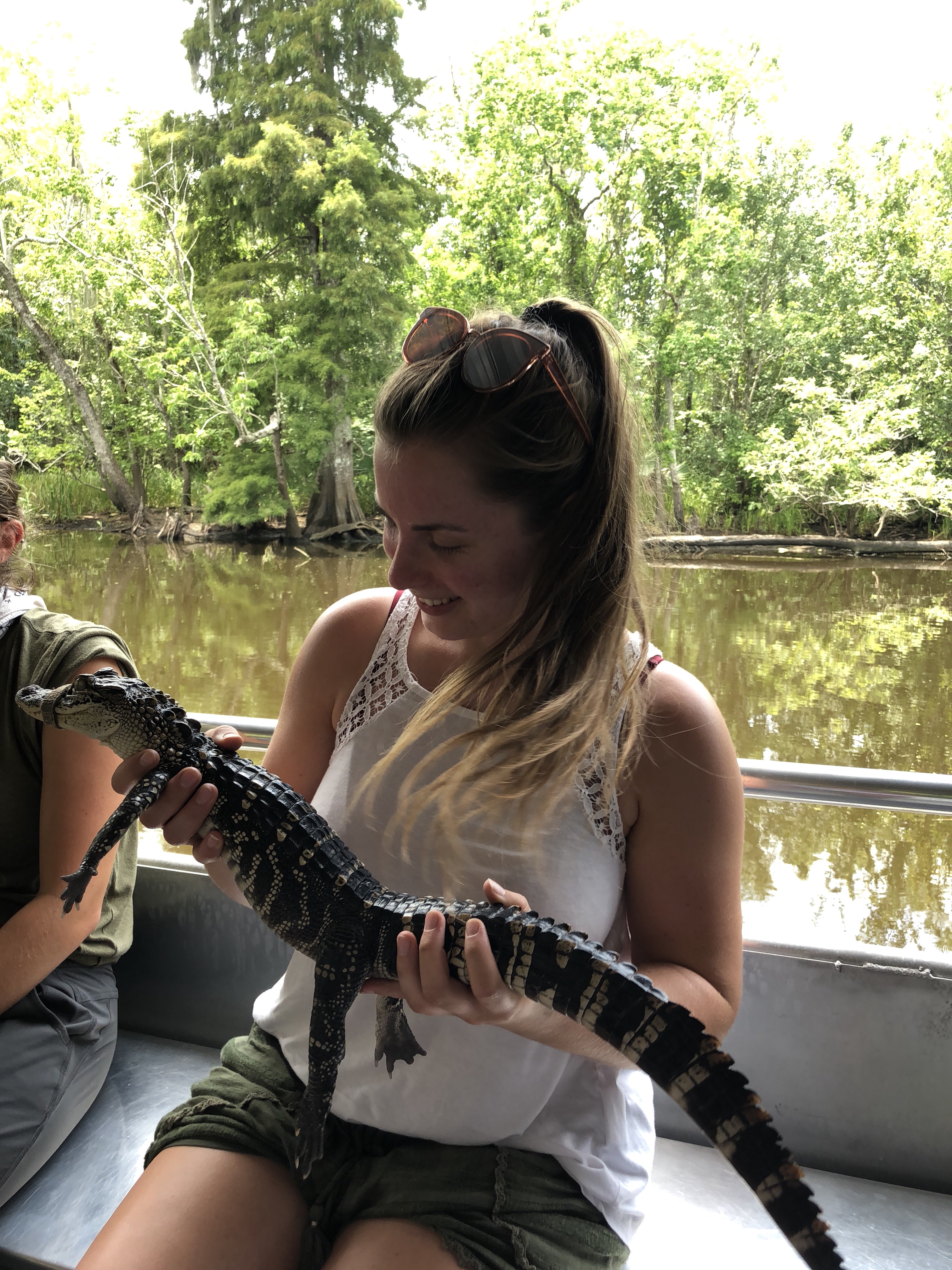 From beaches in Alabama to alligators in New Orleans