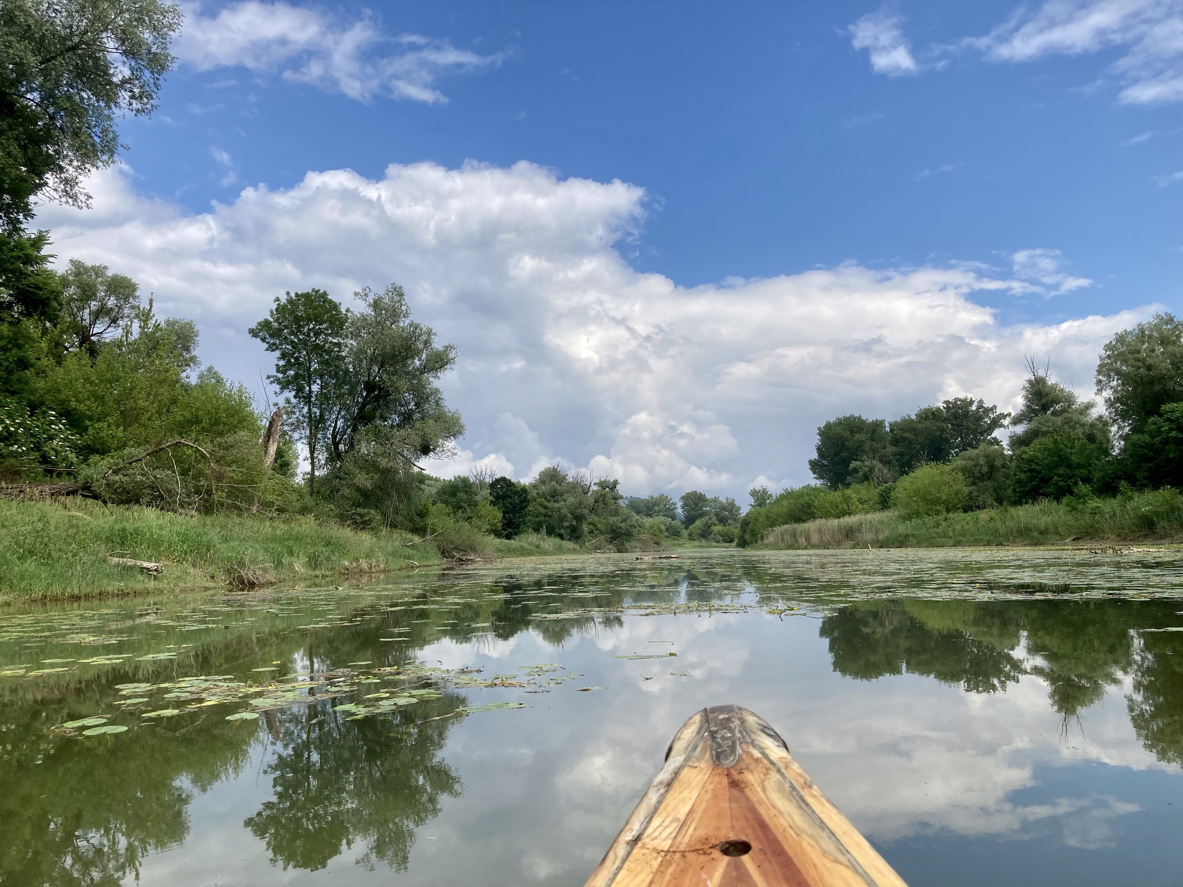 Plattensee und Donauauen 🛶🦦