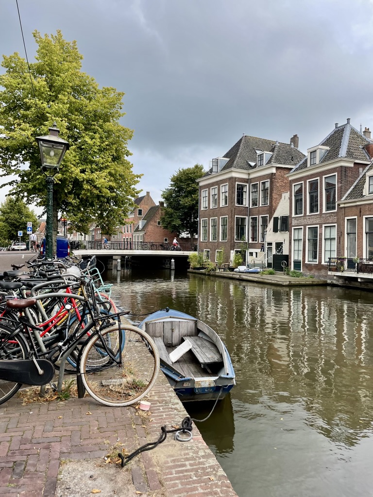 Windmühlen, Fahrräder und Honigwaffeln 🚲🇳🇱